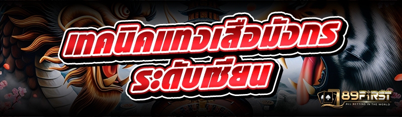 เทคนิคแทงเสือมังกร ระดับเซียน